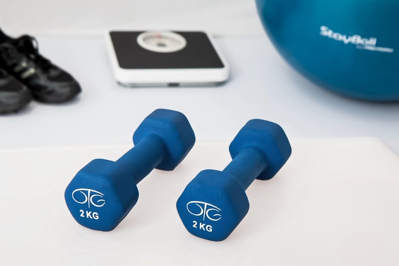 Fitness Exercise